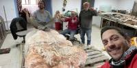 Палеонтолог-Любитель нашел почти неповрежденный скелет титанозавра