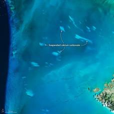 Возле багамских островов регулярно появляются таинственные белые пятна