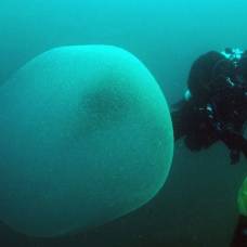 Раскрыт секрет гигантских пузырей в океане